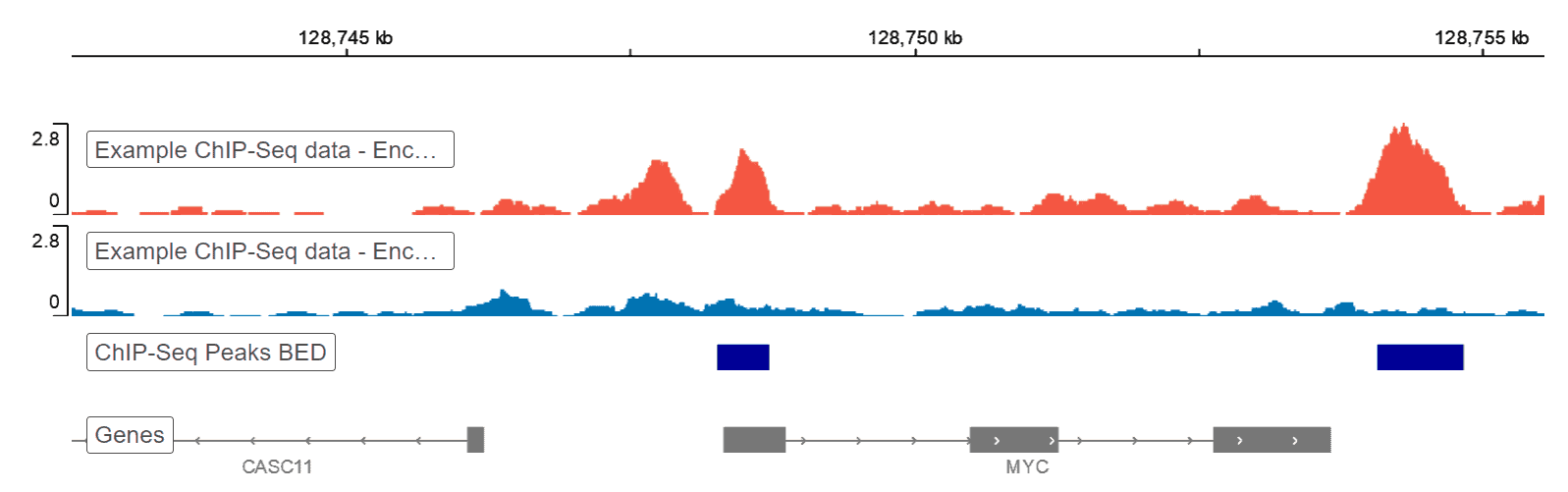 ChIP-Seq analysis report genome browser