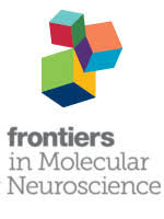 Targeting chromatin regulators inhibits leukemogenic gene expression in NPM1 mutant leukemia