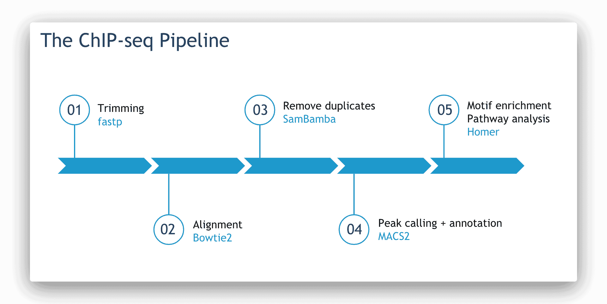 ChIP-seq pipeline